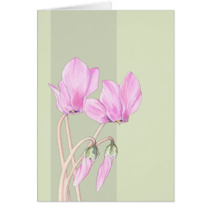 Rosa Cyclamens grönt Card Hälsningskort