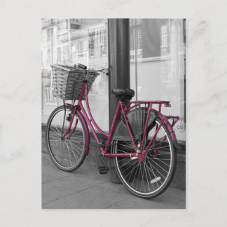Rosa-cykel Vykort