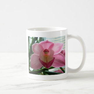 rosa cymbidium kaffemugg