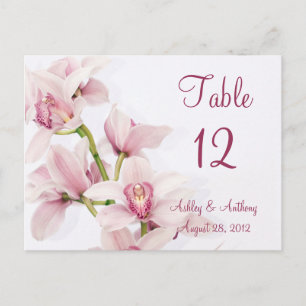 Rosa Cymbidium Orchid Blommigt Bröllop Bord Vykort