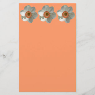 Rosa Daffodil Vår Flower Brevpapper