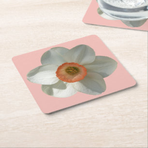 Rosa Daffodil Vår Flower Underlägg Papper Kvadrat