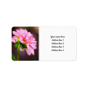 Rosa Dahlia Adressetikett