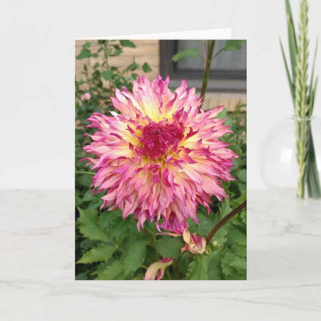 Rosa dahlia-anteckningskort kort (Framsida)