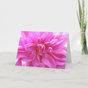 Rosa Dahlia Blank Blommigt Card Kort