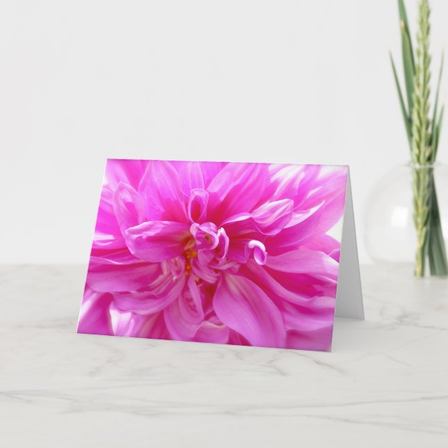 Rosa Dahlia Blank Blommigt Card Kort (Framsida)