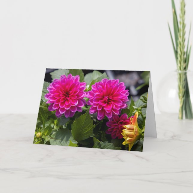 Rosa Dahlia Blanka anteckningskort (Framsida)