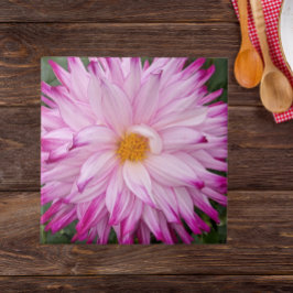 Rosa Dahlia Blom Floral Kakelplatta