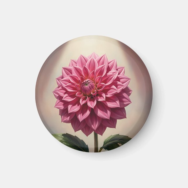 Rosa Dahlia Blomma Botanisk Magnet (Framsidan)