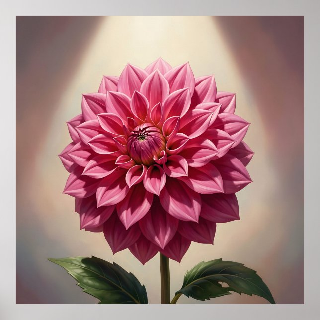 Rosa Dahlia Blomma Botanisk Poster (Framsidan)