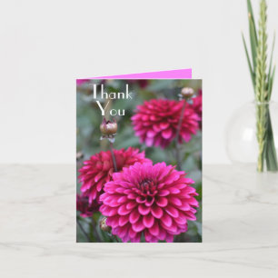 Rosa Dahlia Blommigt Fotograf Tack Hälsning Anteckningskort
