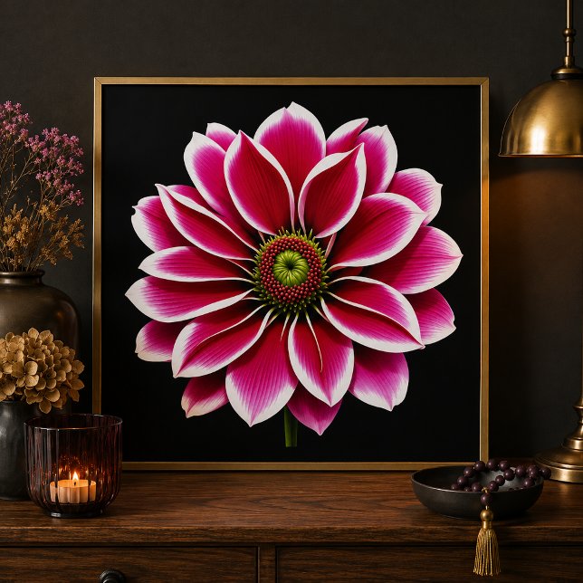 Rosa Dahlia Blomster Finkonsttryck Fototryck (Skapare uppladdad)