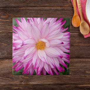 Rosa Dahlia Bloom Blommigt Kakelplatta