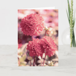 Rosa Dahlia Blooms Note Kort