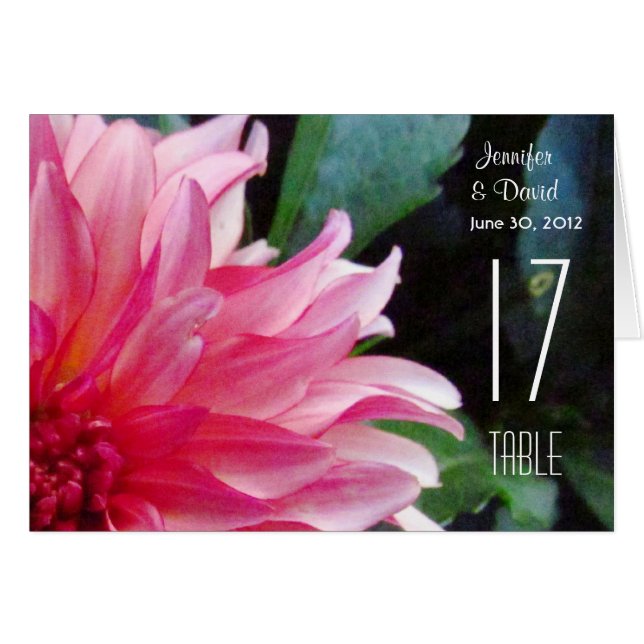 Rosa Dahlia Bordsnummer Card OBS Kort (Framsidan Horizontal)