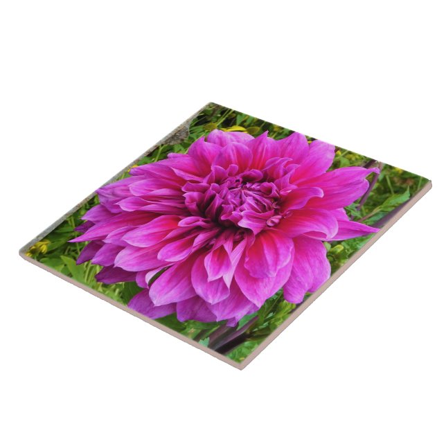 Rosa Dahlia Ceramic Tile Kakelplatta (Sidan)