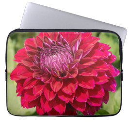 Rosa Dahlia Delight: Vackert Blomsterfotografi Laptop Fodral
