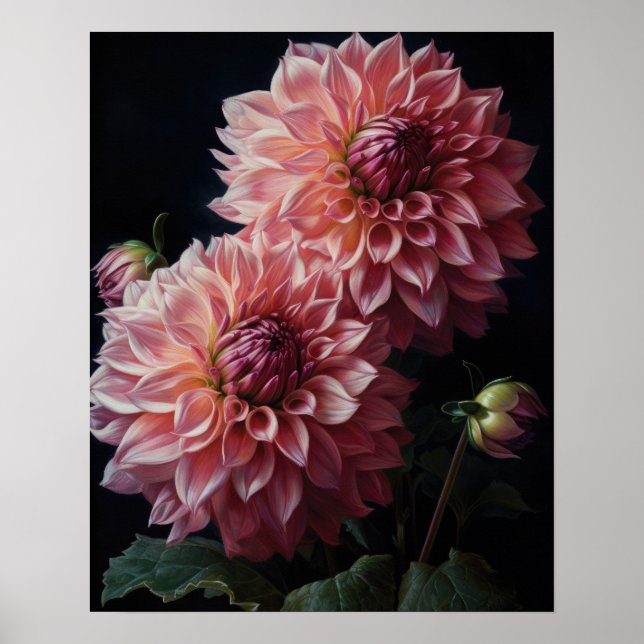 Rosa Dahlia Flowers Art Print Poster (Framsidan)
