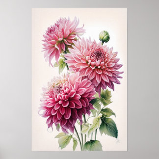 Rosa Dahlia Flowers Art Print Poster