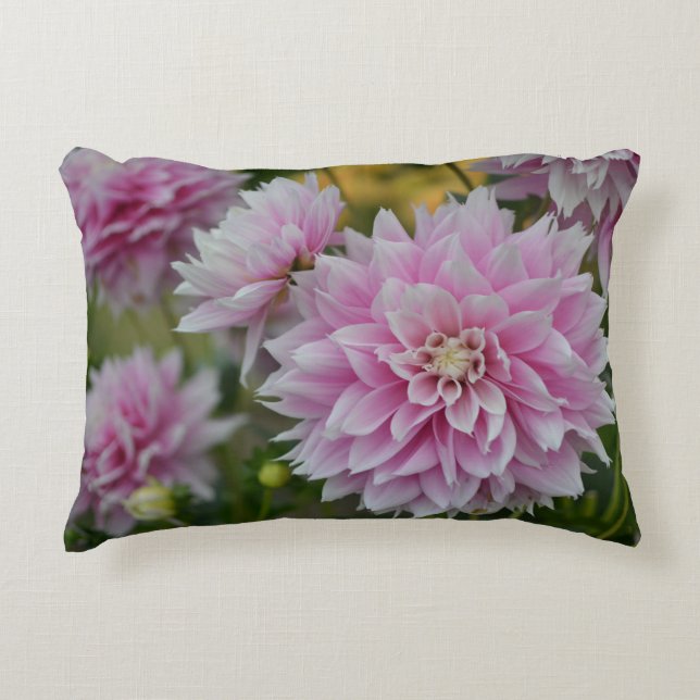 Rosa Dahlia Flowers vid RHS Garden Wisley Prydnadskudde (Framsidan)