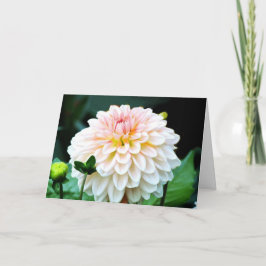 Rosa Dahlia-hälsningskort Kort