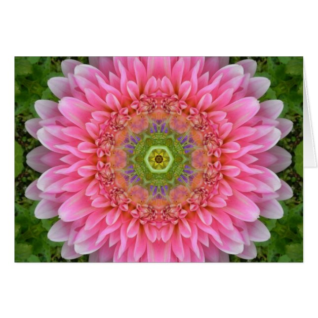 Rosa Dahlia Healing Mandala Hälsningskort (Framsidan Horizontal)