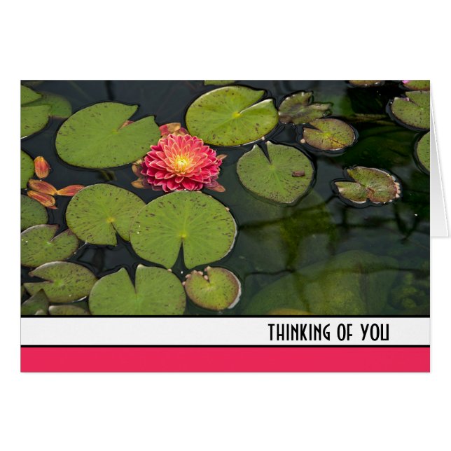 Rosa Dahlia i Lily Dynor Hälsningskort (Framsidan Horizontal)