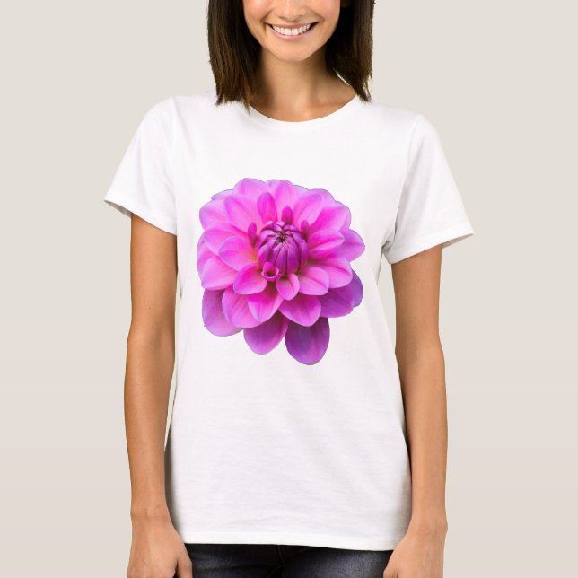 Rosa Dahlia (isolerad) T-shirt (Framsida)