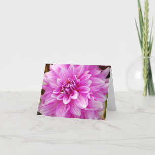 Rosa Dahlia Kort
