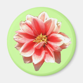 Rosa Dahlia Magnet