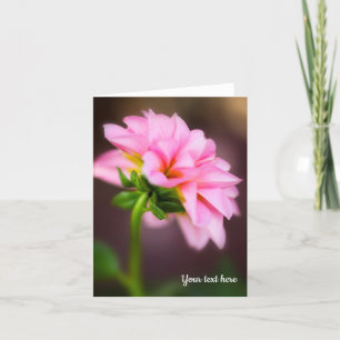Rosa Dahlia-mappat gratulationskort Kort