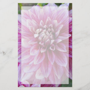 Rosa Dahlia med gränsen Brevpapper