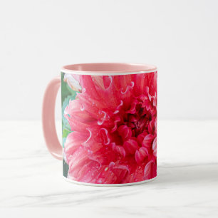 Rosa Dahlia Photography, Canadian Beauty Mugg