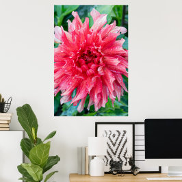 Rosa Dahlia Photography, Canadian Beauty Poster