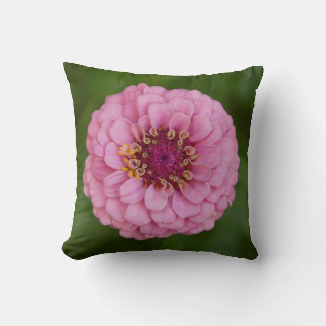 Rosa Dahlia Pillow Kudde (Framsida)