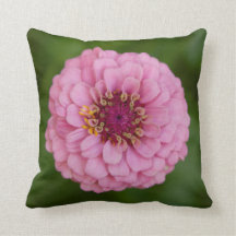 Rosa Dahlia Pillow