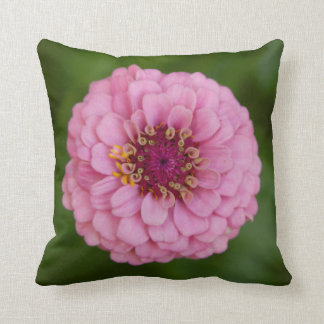 Rosa Dahlia Pillow Kudde