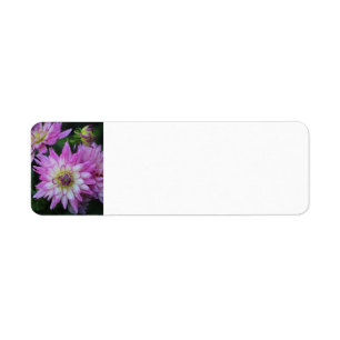 Rosa Dahlia returetiketter Returadress Etikett
