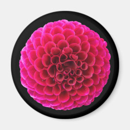 Rosa Dahlia Rund Kylskåpsmagnet Blommig Present