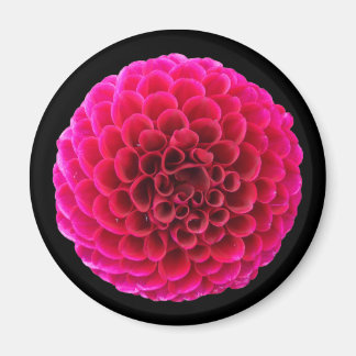 Rosa Dahlia Rund Kylskåpsmagnet Blommig Present