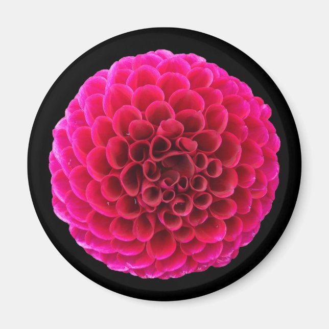 Rosa Dahlia Rund Kylskåpsmagnet Blommig Present (Framsidan)