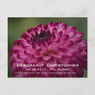Rosa Dahlia • Spara datum postkort Meddelande Vykort