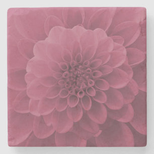 Rosa Dahlia Stenunderlägg