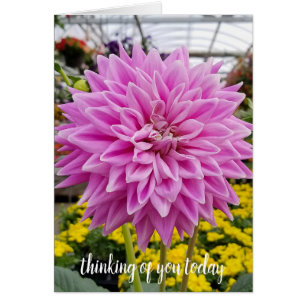 rosa Dahlia-tänkande om dig Hälsningskort