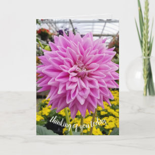 rosa Dahlia-tänkande om dig Kort
