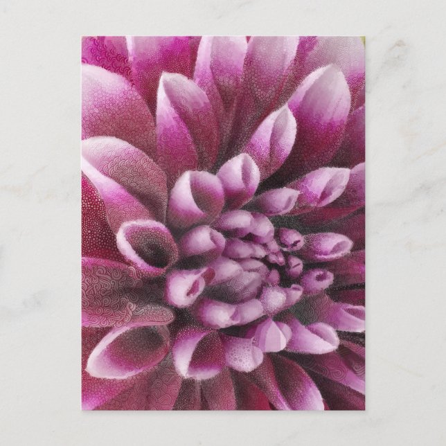 Rosa Dahlia Vykort (Framsida)