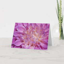 Rosa Dahliakort Kort