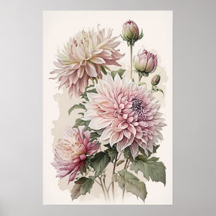 Rosa Dahlias Flower Art Print Poster
