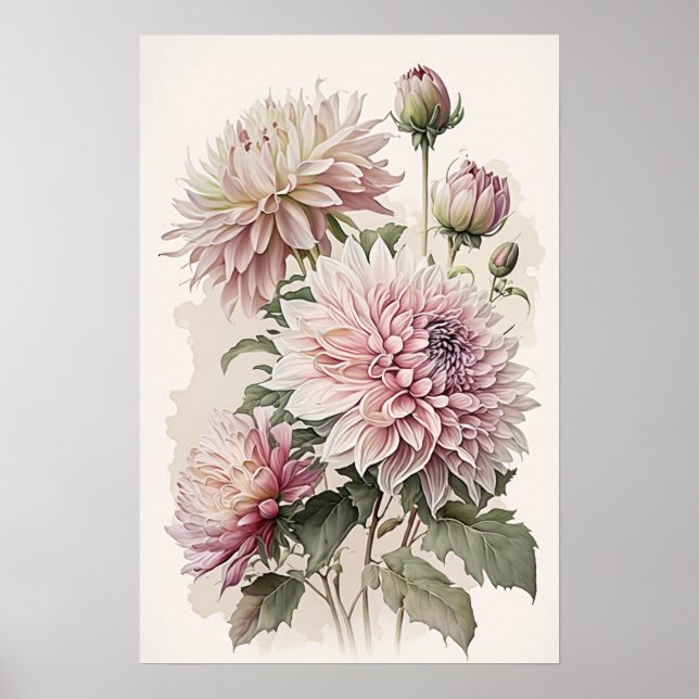 Rosa Dahlias Flower Art Print Poster (Framsidan)
