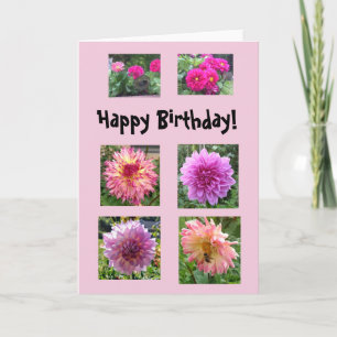 Rosa Dahlias för din födelsedag! Kort